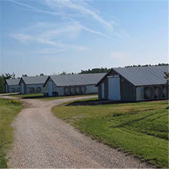 조립식 강철 프레임 구조, 가금류 농장, 육계, 닭 공장을 위한 완전한 가금류 장비를 갖춘 조립식 닭장